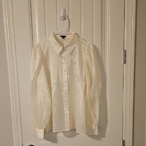 Ann Taylor Cream Blouse